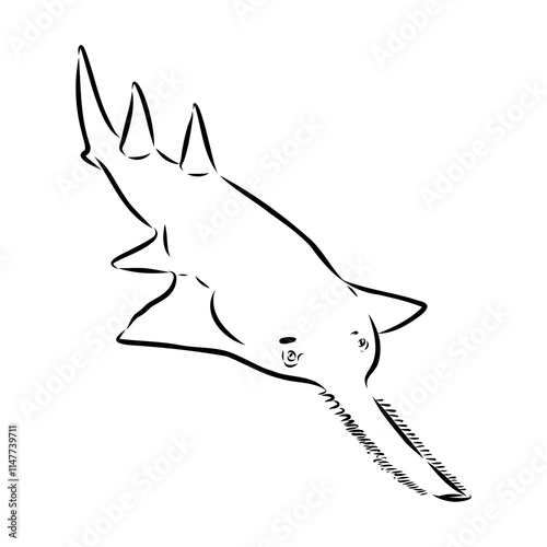 sawshark line vector illustration, sawfish sketch