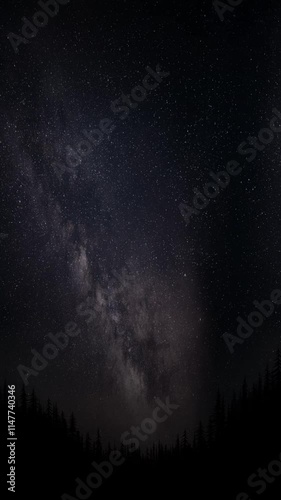 Pine forest silhouette with starry night sky vertical looping animation abstract background