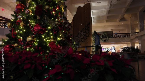christmas tree at night