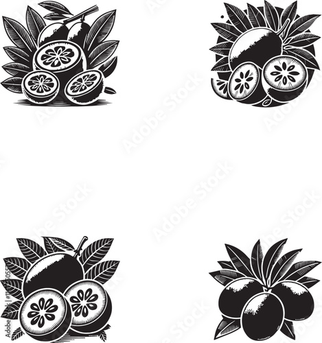 Sapodilla Fruit Silhouette Collection - Vector Illustrations
