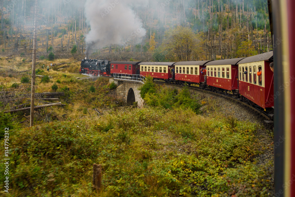 Fototapeta premium Harry Potter am Brocken