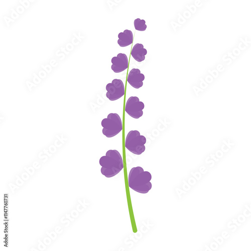 purple lavender flower logo, for flower gardens, parks, business, cosmetics, fashion, vector