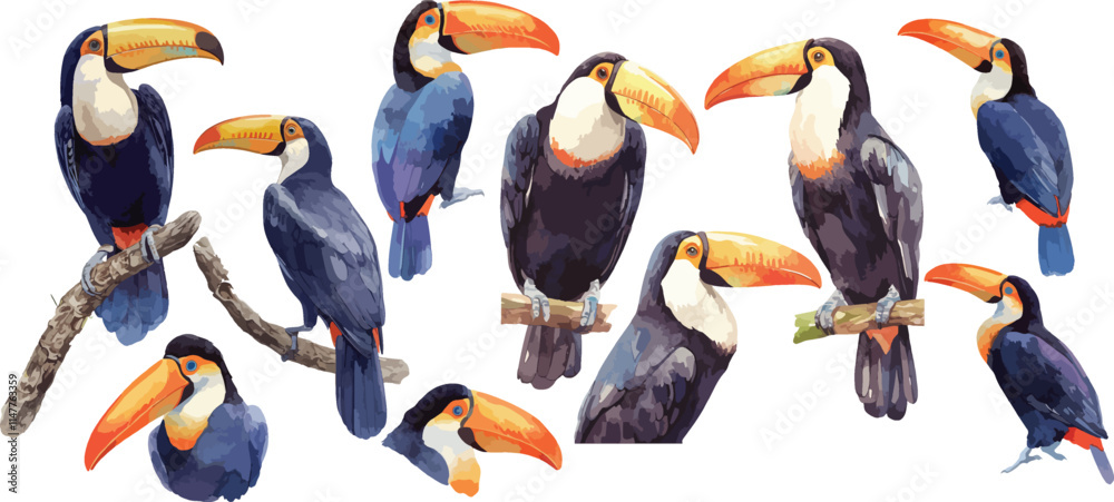 Fototapeta toucan watercolor clipart