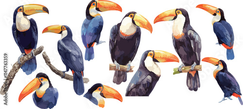 toucan watercolor clipart
