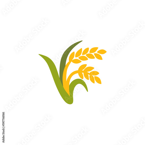 wheat
