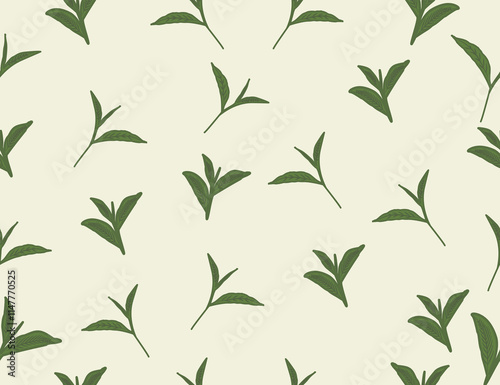 
tea leaves pattern background. green leaves vector pattern background. Green tea leaf seamless pattern. seamless patterns with green leaves of 