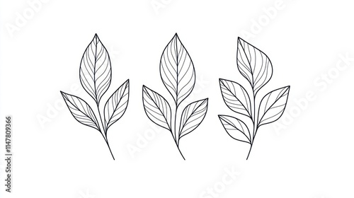 Three minimalist line art leaf illustrations.