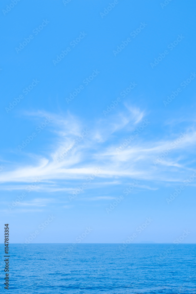 Fototapeta premium 青空と海