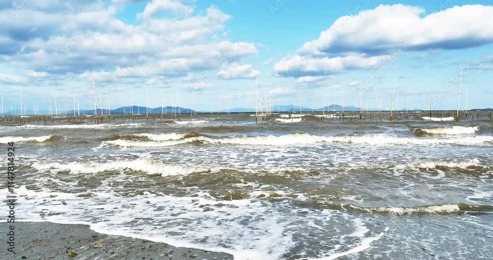 seascape with seaweed farm in a windy day seascape with seaweed farm in a windy day