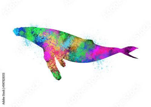 Watercolor Whale, Abstract Whale, Colorful Whale, Whale Illustration, Whale Drawing, Whale, PNG, Transparent
