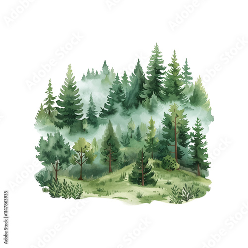 lush green forest in morning mist vector illustration in watercolor style