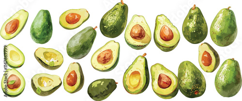 avocado watercolor clipart