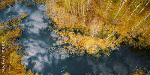 Obraz na płótnie Spring Season. Aerial View. Young Birches Grow Among Small Marsh Bog Swamp. Deciduous Trees With Young Foliage Leaves In Landscape In Early Spring w salonie