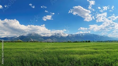 Panoramic natural landscape with green grass field, blue sky with clouds and mountains in background.