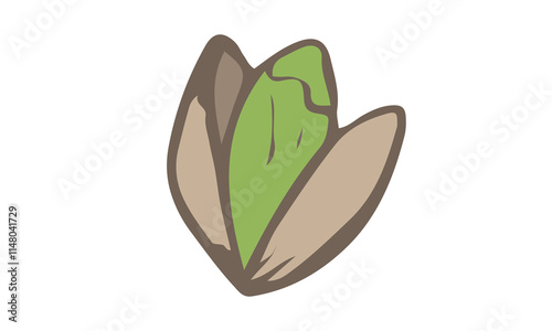 Hand Drawn Pistachio Illustration