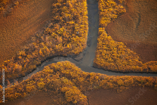 Ausblick vom Skierffe im Nationalpark Sarek  Lappland in Schweden. Herbstliche Farbe vom Gipfel des Skierfe ins Delta des Rapaälv.  photo