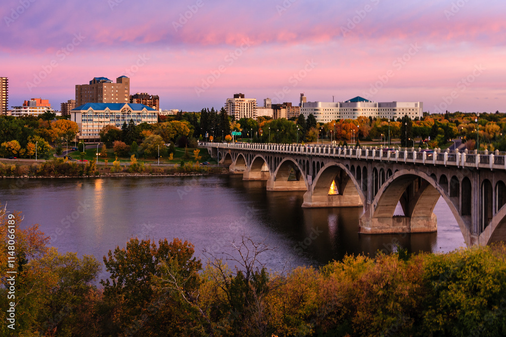 Fototapeta premium A bridge spans a river with a city in the background