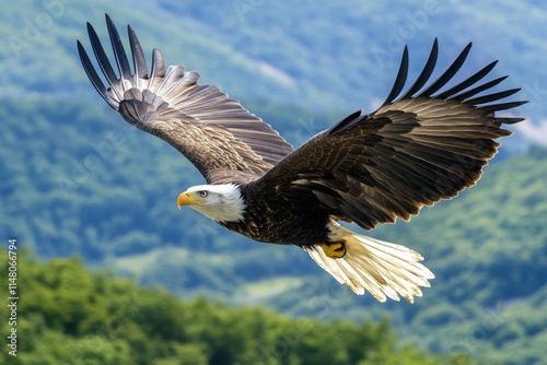 A sharp-eyed eagle in midflight nature's majesty high altitude stunning photography clear blue sky wildlife beauty captured in sharp detail photo