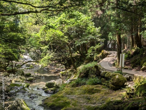 road to the cave in shiga
