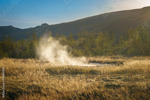 A steaming hot pool in a geothermal field surrounded by golden grass and trees under soft sunlight in Iceland