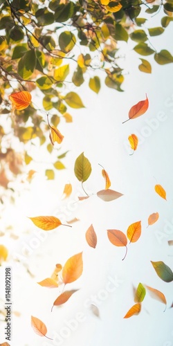 A tree with leaves falling from it. The leaves are orange and yellow. The leaves are scattered in the air