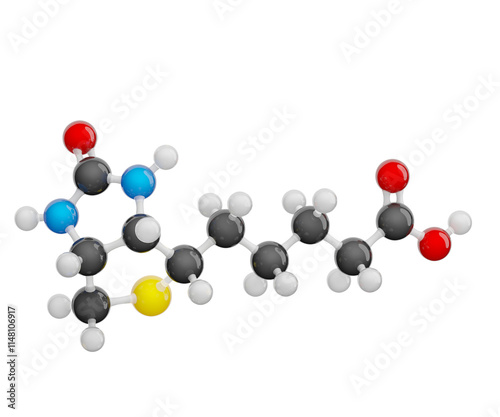 Molecule of vitamin B7 (Biotin or vitamin H). Molecular formula: C10H16N2O3S. Chemical model: Ball and Stick. Isolated. Transparent background. PNG transparent. 3D illustration. photo