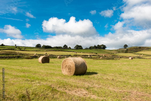 A beautiful agricultural field in Yorkshire, England, United Kingdom