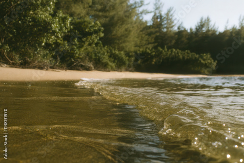 Serene Coastal Landscape with Clear Water and Lush Greenery Under Sunlight