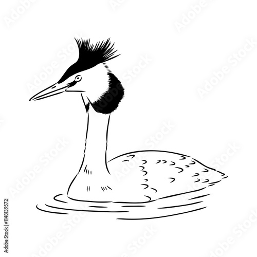 toadstool duck, vector sketch, Vector antique engraving drawing illustration duck