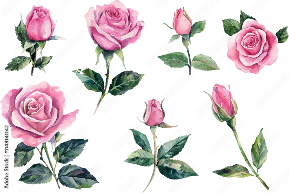 pattern with pink roses pattern with pink roses
