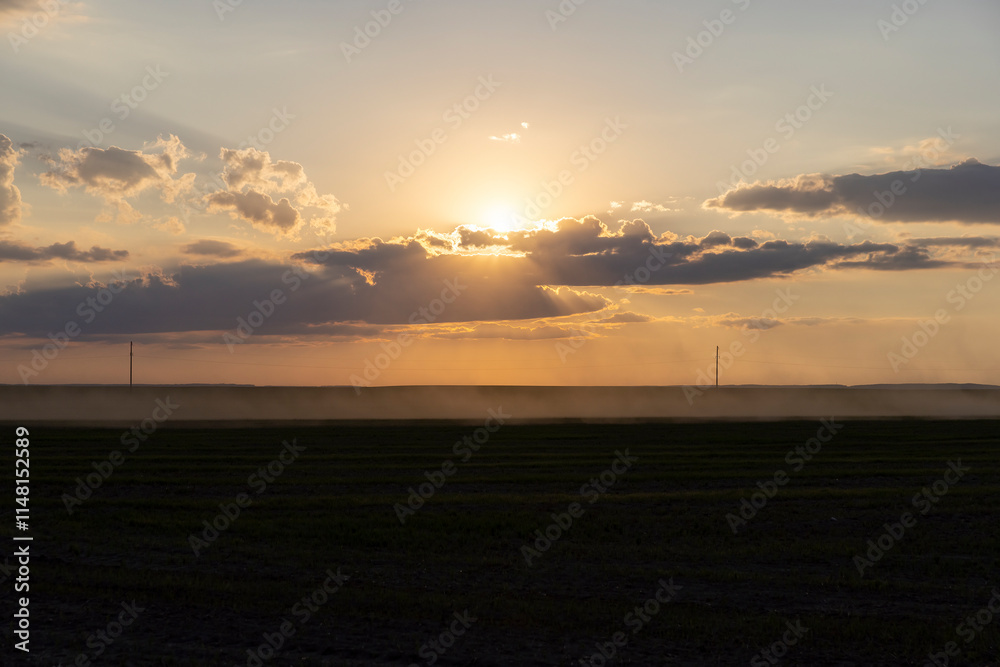A rural field with green grass and other vegetation at sunset A rural field with green grass and other vegetation at sunset