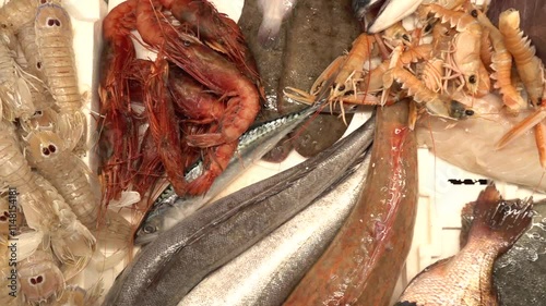 Variety of Fresh Fish on Ice at a Seafood Market