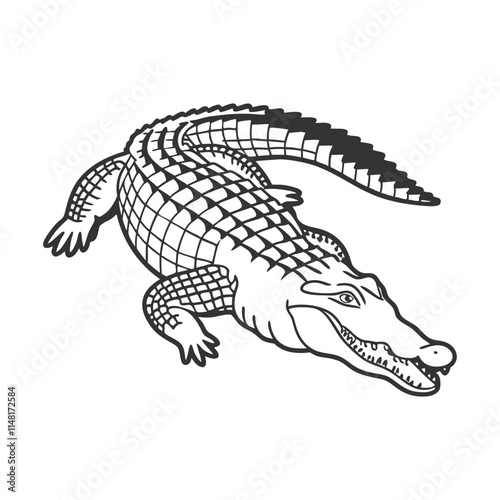 Crocodile Vector Art and Illustration