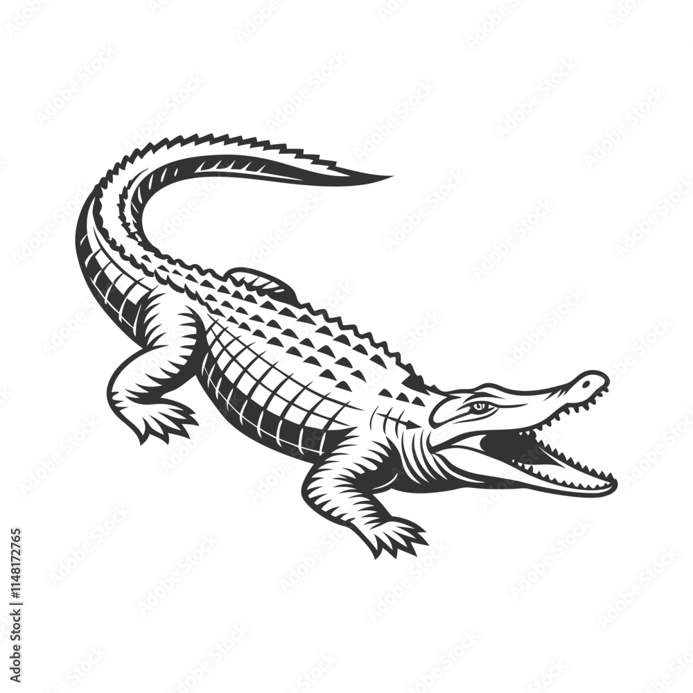 Fototapeta premium Crocodile Vector Art and Illustration