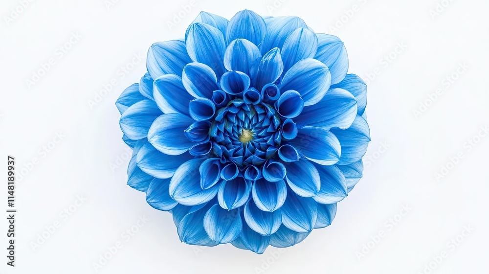 Beautiful Blue Flower Isolated on White Background, Showcasing Intricate Petal Details for Inspiration and Creative Projects in Nature and Art Beautiful Blue Flower Isolated on White Background, Showcasing Intricate Petal Details for Inspiration and Creative Projects in Nature and Art