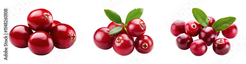 Wallpaper Mural Fresh cranberries with leaves on a black background Torontodigital.ca