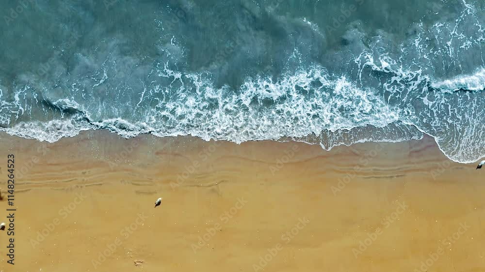 Aerial view of ocean waves and sandy beach with seagulls, A serene aerial view capturing gentle ocean waves washing onto a golden sandy beach with a few seagulls scattered along the shore.
