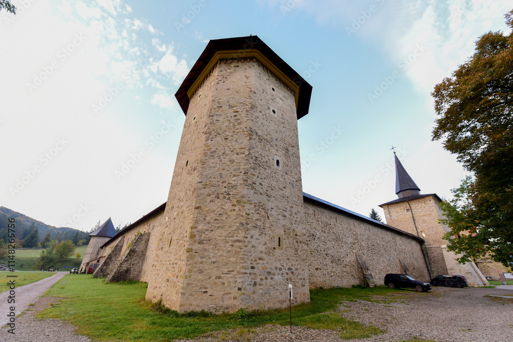 Fototapeta premium castle in the mountains