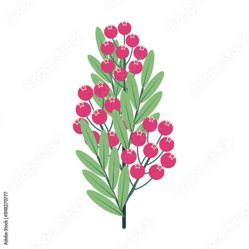 Branch with pink berries and long green leaves isolated on transparent and white background. Close-up element for spring and summer design decoration. Vector illustration. Bunch of berries.