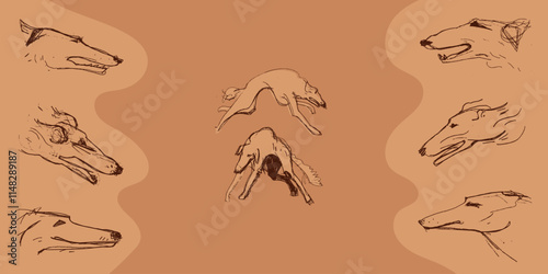 Hunting Sighthound dogs hand-drawn sketches - minimalist ink drawing - Borzoi, hunting sighthound, whippet - linear vector illustrations. Dog breeding business concept - Banner template - brown colors