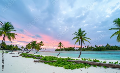 Fototapeta Naklejka Na Ścianę i Meble -  Native palm trees litter the sand coastal shore of a coral atoll island archipelago in the south pacific seas ocean front property ocean property house home beach real estate