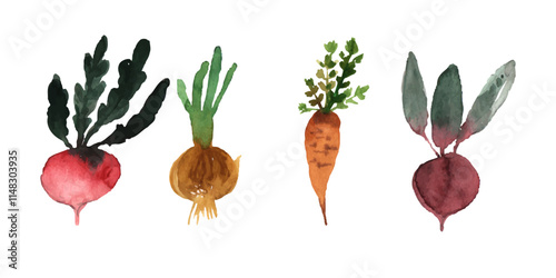 hand drawn water color painting vegetables