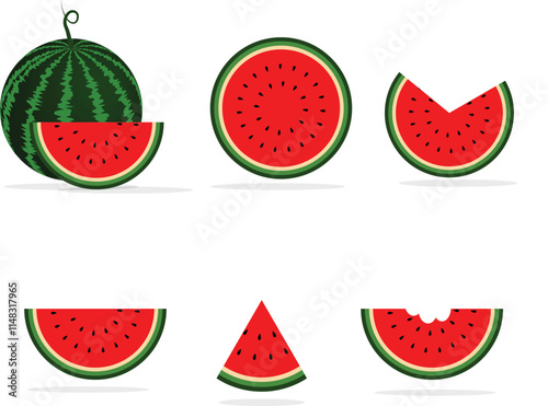 watermelon illustration , set of water melon, water melon slices, vector art