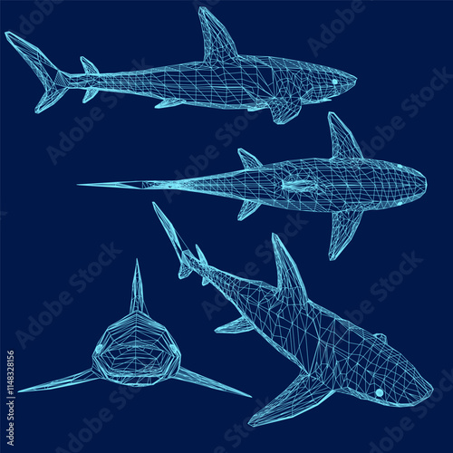 shark contour set. Vector illustration