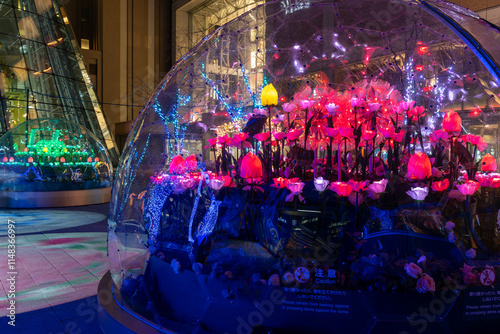 北海道　札幌　イルミネーション　ホワイトイルミネーション　冬　夜