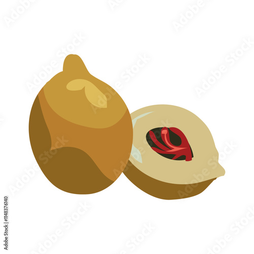 jathikka or netmeg clipart in yellow colour with seed covered in red coat