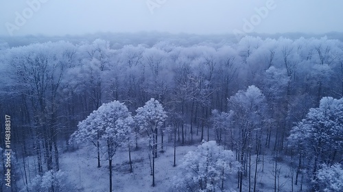 Wallpaper Mural Frosted forest aerial view. Torontodigital.ca