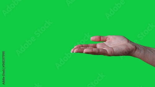 Close up side view of beautiful outstretched female hand isolated on green screen chroma key background. Woman holding empty open flat palm showing something virtual and invisible. Give and take