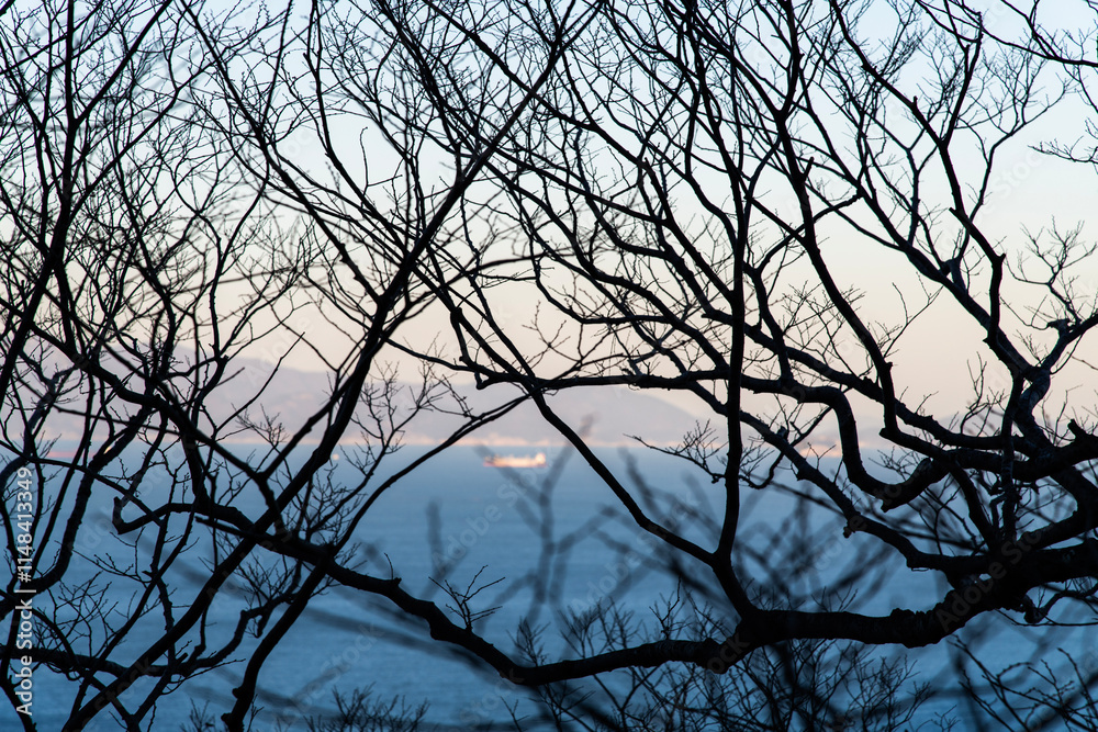view of the bare trees against the sea and sky view of the bare trees against the sea and sky