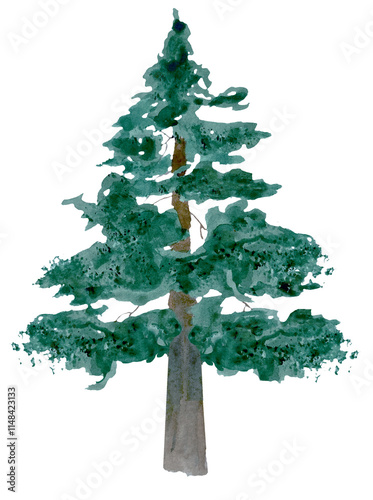 Watercolor green conifer tree
